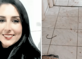 A própria família foi quem encontrou a vítima, na última segunda-feira (26), três dias depois de fazer o último contato com ela. Foto: Reprodução