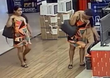 A mulher está sendo procurada pela Polícia Civil. Foto: Reprodução