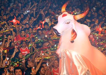 Mais cedo, por meio de ofício, o presidente do Garantido disse que o boi estava com problemas financeiros. Foto: Reprodução