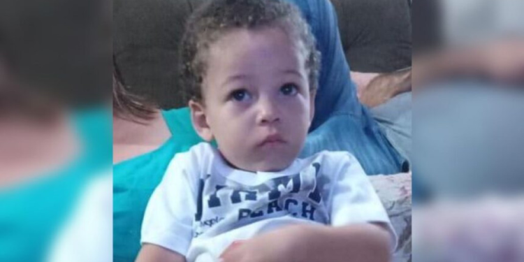Criança de 2 anos sumiu no último sábado (10). Foto: Reprodução