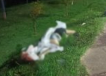 A mulher foi jogada por diversos metros. Foto: Reprodução