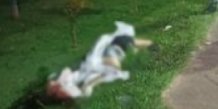 A mulher foi jogada por diversos metros. Foto: Reprodução