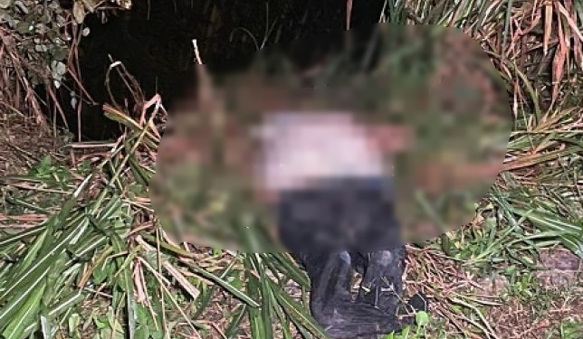 O corpo foi encontrado na noite deste sábado (10). Foto: Reprodução