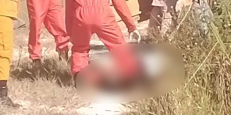 O crime ocorreu na manhã desta quinta-feira (22). Foto: Reprodução