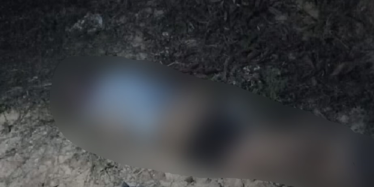 O corpo foi encontrado na tarde desta quarta-feira (28). Foto: Reprodução