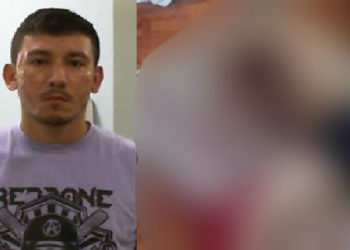 Denúncias podem ser feitas pelo número (92) 98118-9535 da DEHS, ou pelo 181 da SSP-AM. Foto:  Divulgação/PC-AM