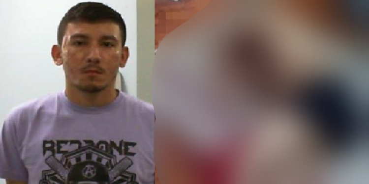 Denúncias podem ser feitas pelo número (92) 98118-9535 da DEHS, ou pelo 181 da SSP-AM. Foto:  Divulgação/PC-AM