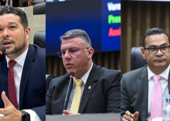 Vereadores criaram PLs inusitados. Foto: Reprodução