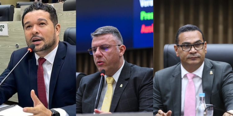 Vereadores criaram PLs inusitados. Foto: Reprodução