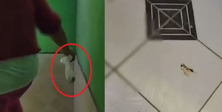 A situação viralizou nas redes sociais. Foto: Reprodução