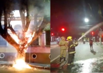 A mulher se apresentou na delegacia. Foto: Reprodução