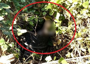 O crime ocorreu na tarde deste sábado (15). Foto: Reprodução