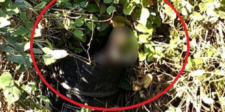 O crime ocorreu na tarde deste sábado (15). Foto: Reprodução