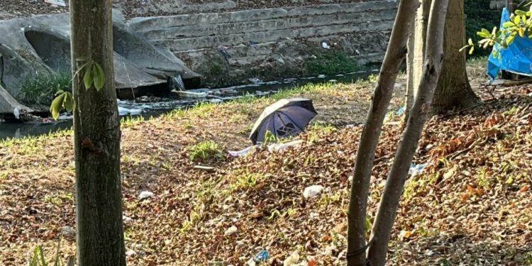 O crime ocorreu nesta tarde. Foto: Reprodução