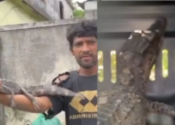 O caso aconteceu no meio do trânsito, no bairro Alvorada. Foto: Reprodução