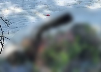 O corpo foi encontrado já em avançado estado de decomposição. Foto: Reprodução