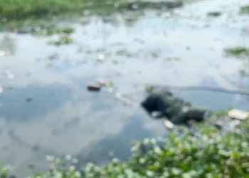 O corpo estava sem identificação. Foto: Reprodução