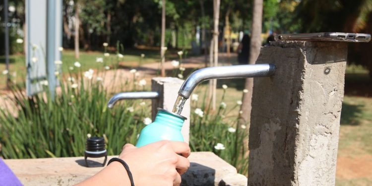 Ao notar sintomas, indicação é procurar atendimento médico. Foto: Rovena Rosa/Agência Brasil