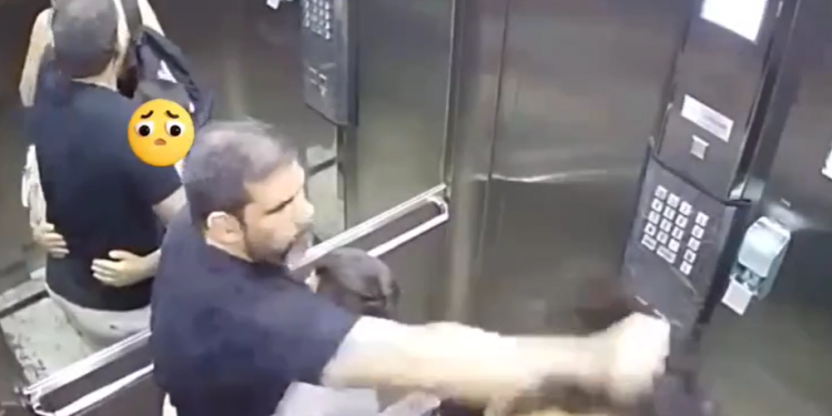 As agressões ocorrem no elevador e também dentro do carro da família. Foto: Reprodução