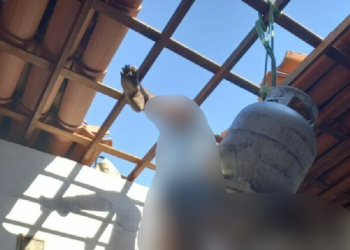 O morador chegou no local e se deparou com a cena. Foto: Reprodução