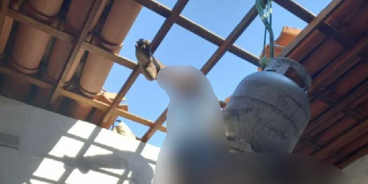 O morador chegou no local e se deparou com a cena. Foto: Reprodução