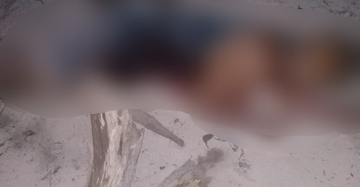 O homem foi executado com um tiro de espingarda calibre 20. Foto: Divulgação