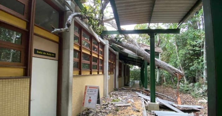 Apesar do susto, ninguém se feriu. Foto: Reprodução