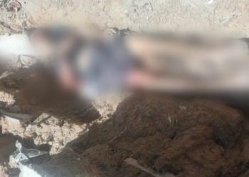 O crime ocorreu no início da tarde desta quarta-feira (13). Foto: Divulgação