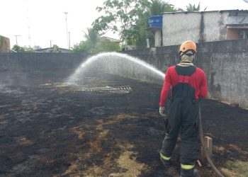 O primeiro caso foi registrado no Careiro Castanho. Foto: Vicente Silva e Divulgação/PMAM