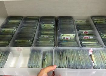 O cidadão pode verificar no site se o documento está pronto. Foto: Divulgação/SSP-AM