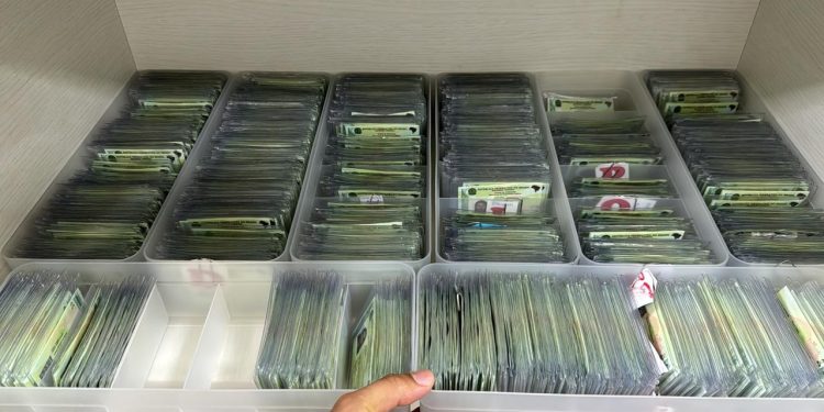 O cidadão pode verificar no site se o documento está pronto. Foto: Divulgação/SSP-AM