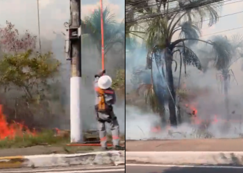 O fogo começou na terça-feira (3) e parece que retornou nesta quarta. Foto: Reprodução