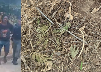 O suspeito foi preso em flagrante. Foto: Reprodução