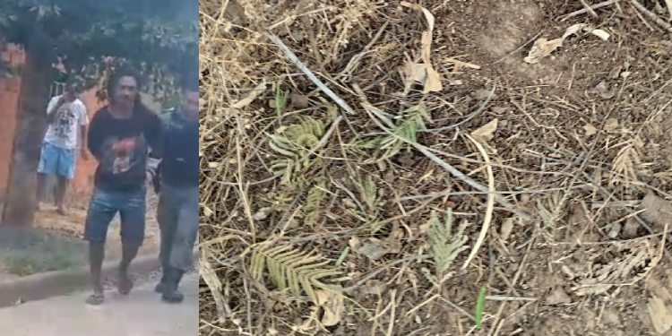 O suspeito foi preso em flagrante. Foto: Reprodução