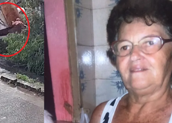 A idosa morava sozinha e o Corpo de Bombeiros demorou a ser acionado. Foto: Reprodução