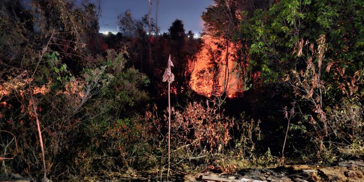 Os envolvidos foram presos em flagrante. Foto: Divulgação/PMAM