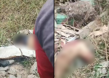 O crime ocorreu nesta tarde (5). Foto: Reprodução