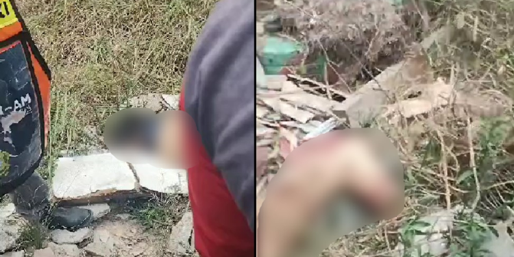 O crime ocorreu nesta tarde (5). Foto: Reprodução