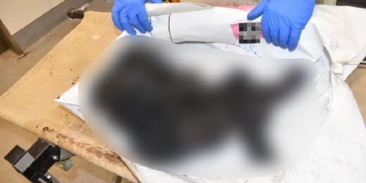 Dos três bebês, dois foram carbonizados. Foto: Reprodução