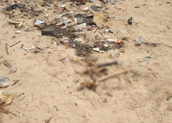 O material genético foi levado ao IML. Foto: Reprodução