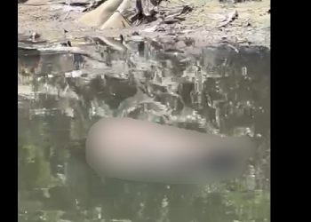 O corpo foi encontrado na tarde desta sexta-feira (20). Foto: Reprodução