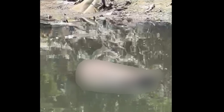 O corpo foi encontrado na tarde desta sexta-feira (20). Foto: Reprodução