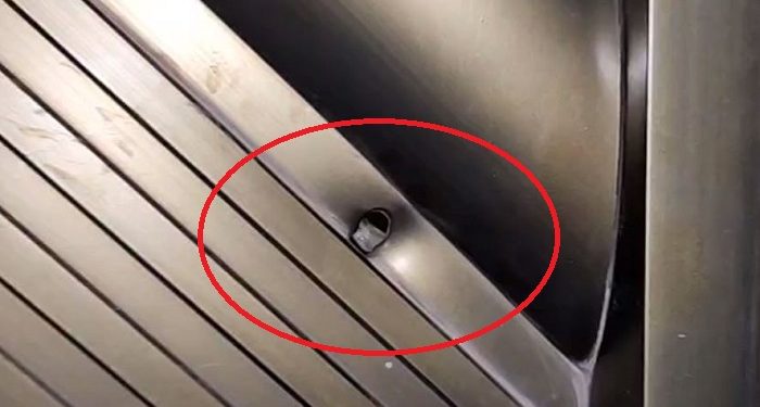 O crime ocorreu na noite desta quinta-feira (20). Foto: Reprodução