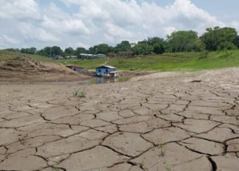 Vários municípios enfrentam dificuldades com a seca extrema. Foto: Amazonas Energia - Divulgação