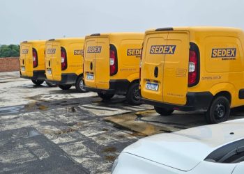 Em Manaus quatro foram recuperados. Foto: Divulgação/PC