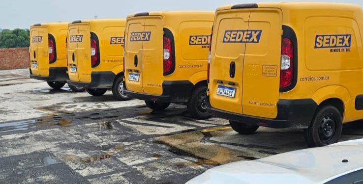 Em Manaus quatro foram recuperados. Foto: Divulgação/PC