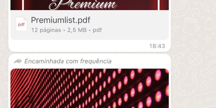 Os arquivos começaram a circular nas redes entre os dias 8 e 9 deste mês. Foto: Reprodução