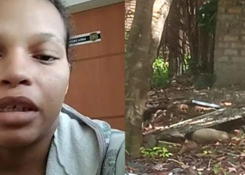 A mulher acabou confessando o crime e foi presa. Foto: Reprodução