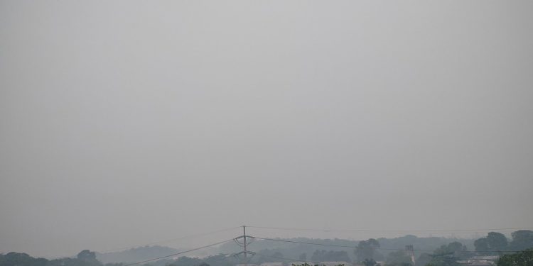 A fumaça começou a se intensificar ainda na madrugada. Foto: Divulgação/Internet