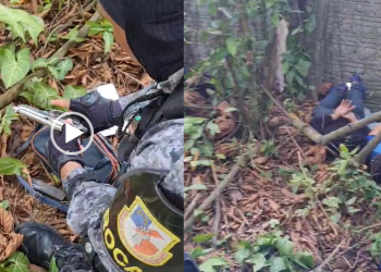 Segundo a polícia, eles estavam com quatro armas de fogo. Foto: Reprodução
